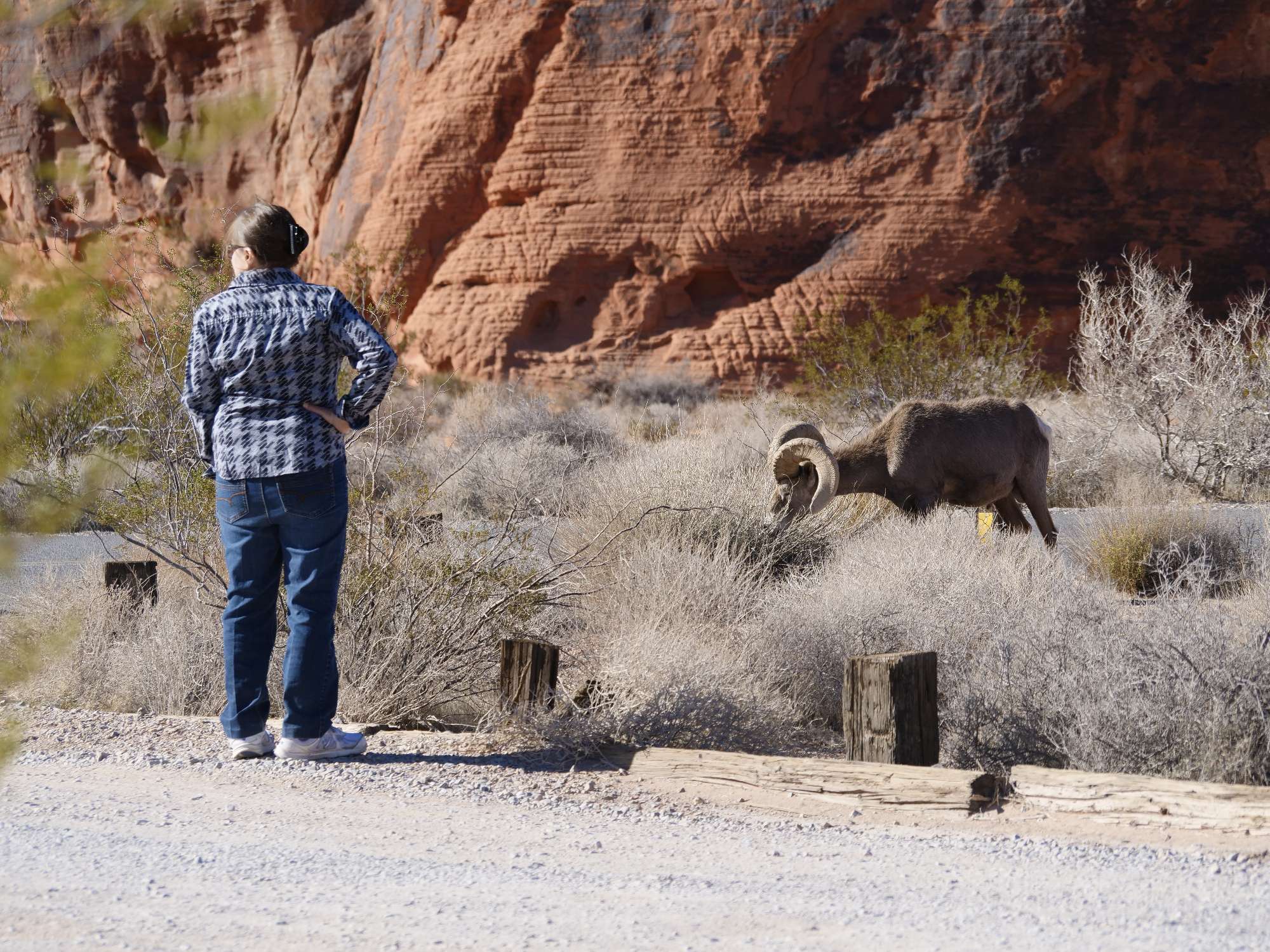 12 National Park Rules You're Probably Breaking