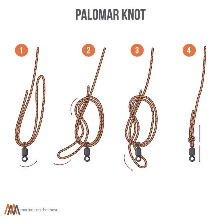 Knot Tying For Beginners An Illustrated Guide To 6 Essential Knots knot-tying-for-beginners-an-illustrated-guide-to-6-essential-knots
