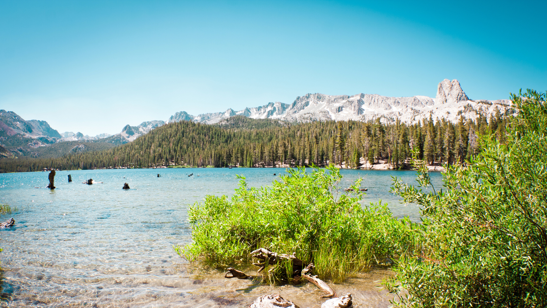 12 Best Camping Spots Near Mammoth Lakes Revealed