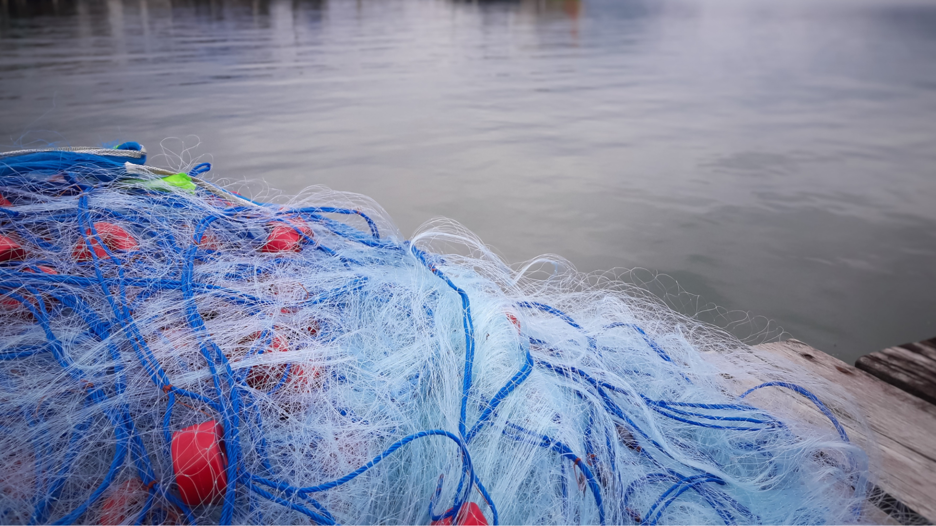 Survival Fishing: How a Gill Net Could Save Your Life